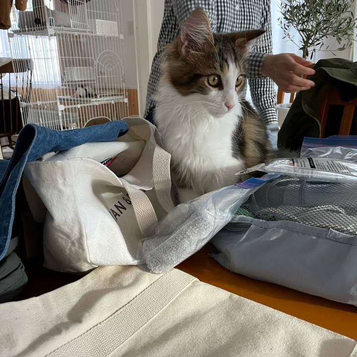 5483edc8 7b2d 4833 8eab e2345ec908d9 1634908104130