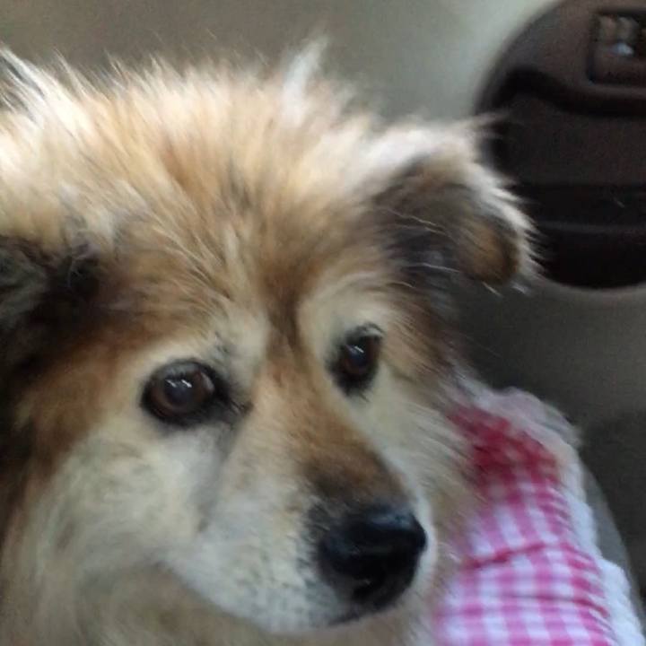 548409b9 56c8 49f9 b55e 48e05f0f3276 1592586529027