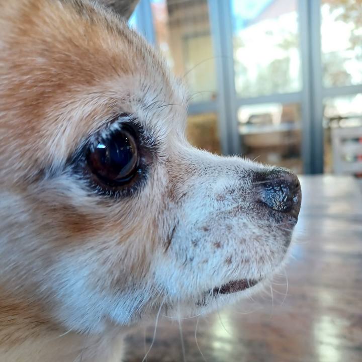 54843afc 0762 4a5f 9d85 f213e4294c06 1763076176817