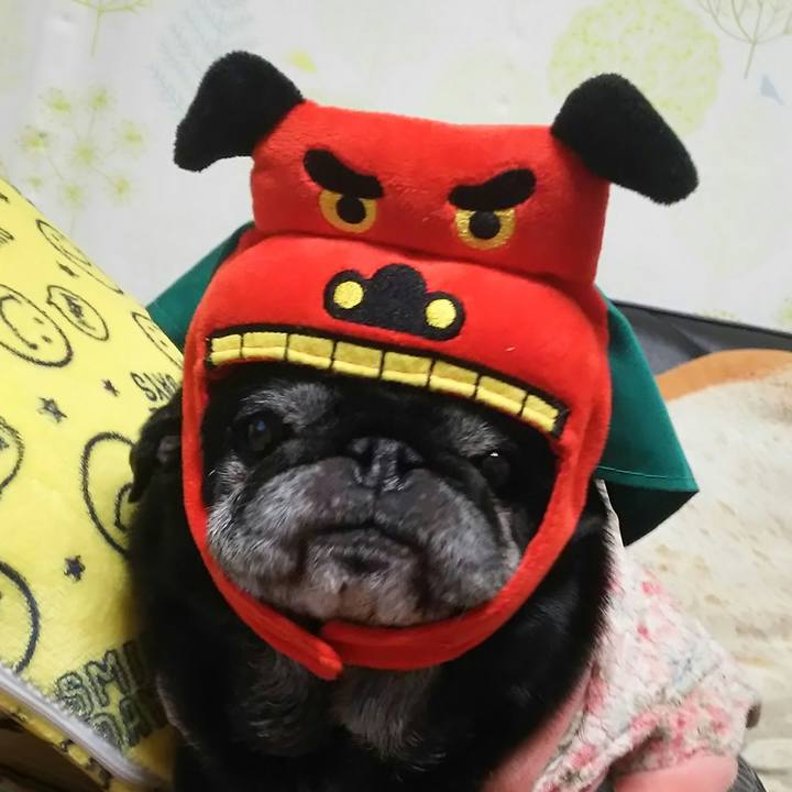 548460cb 8cfe 4e3b 8374 e3c4ed5532f5 1515327234365