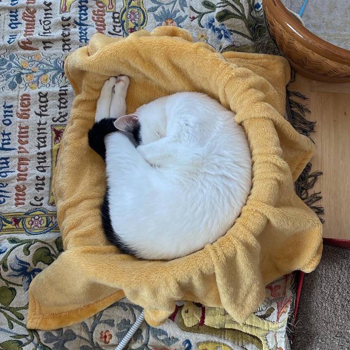 54846221 d106 4086 8170 5987c25aaf0d 1608345599040