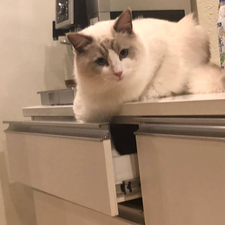 54846422 6bd5 439f 8ea1 92ef91bee421 1563752379970