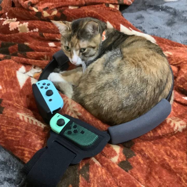 54849503 110c 45a4 bcfe e1e8d1075036 1610355938098