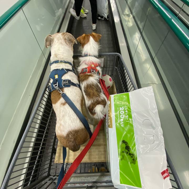 54849a71 35f6 4576 8c46 467b66c99348 1669549112064