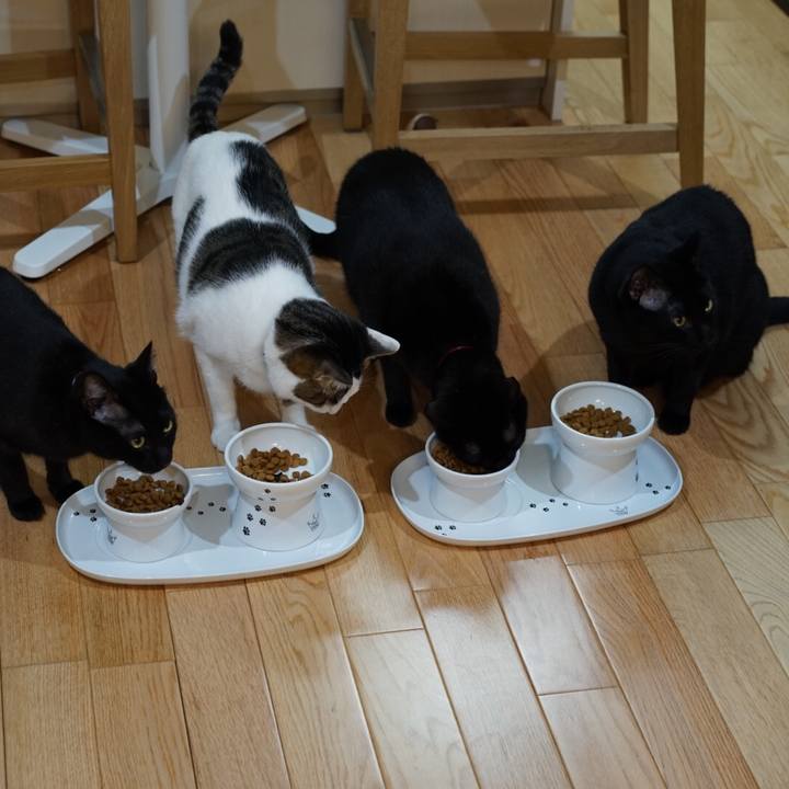 5484a8e5 ecc6 40bb b59d 32a9fdd3337b 1547907152699