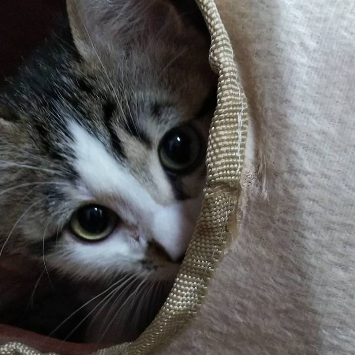 5484e3b8 befa 49b8 b1d0 32d9b047b3ed 1607687492647