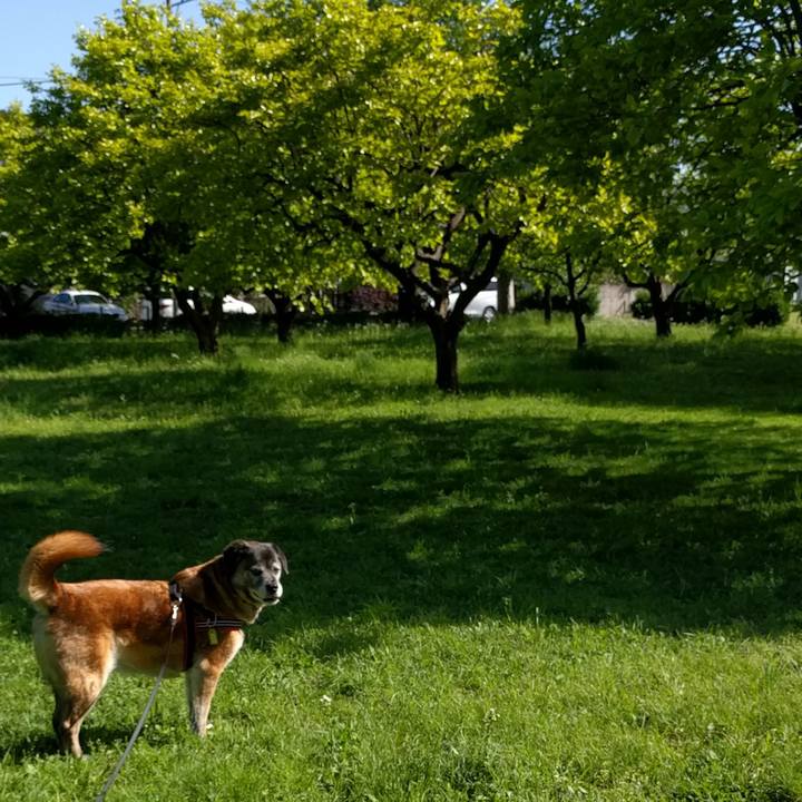 5484e684 a542 46a8 98c5 c5e2ba059d06 1524702251607