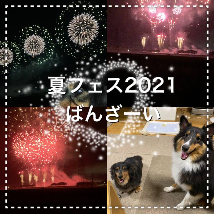 54851e23 f770 4a13 ab1f 63a646dc71a0 1628948297685