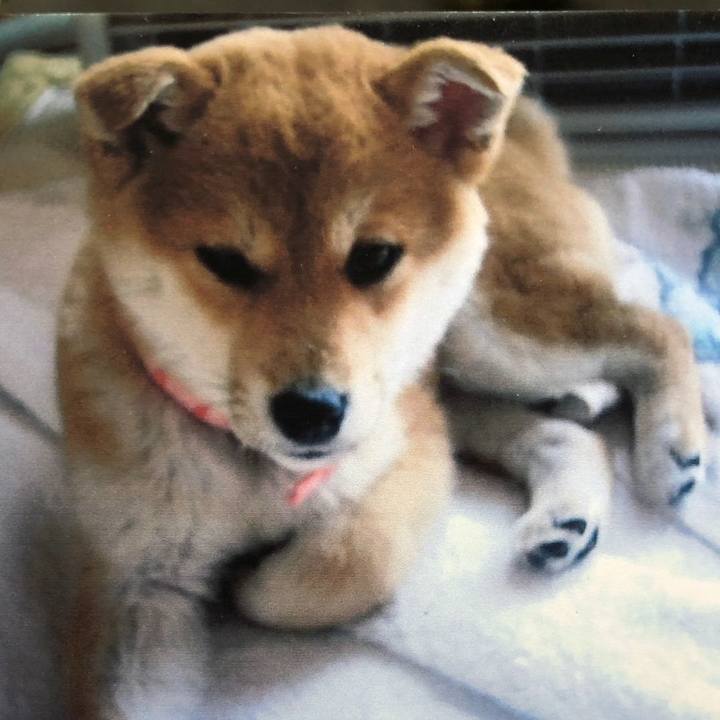 548521b6 a5ad 4a40 a4e1 d4cf479bec2c 1602298164322