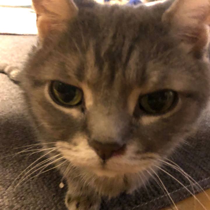 54853328 6b45 429e bc58 5b1f7dd4cc63 1572700293354