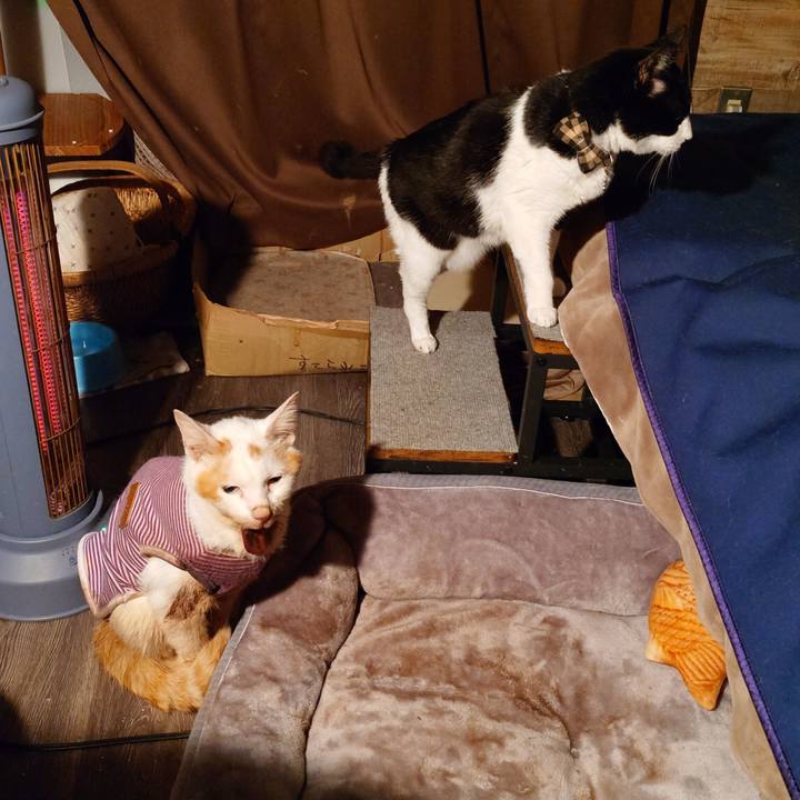 548534c9 c0a2 48ff 9db2 86104ff762f8 1772550605219