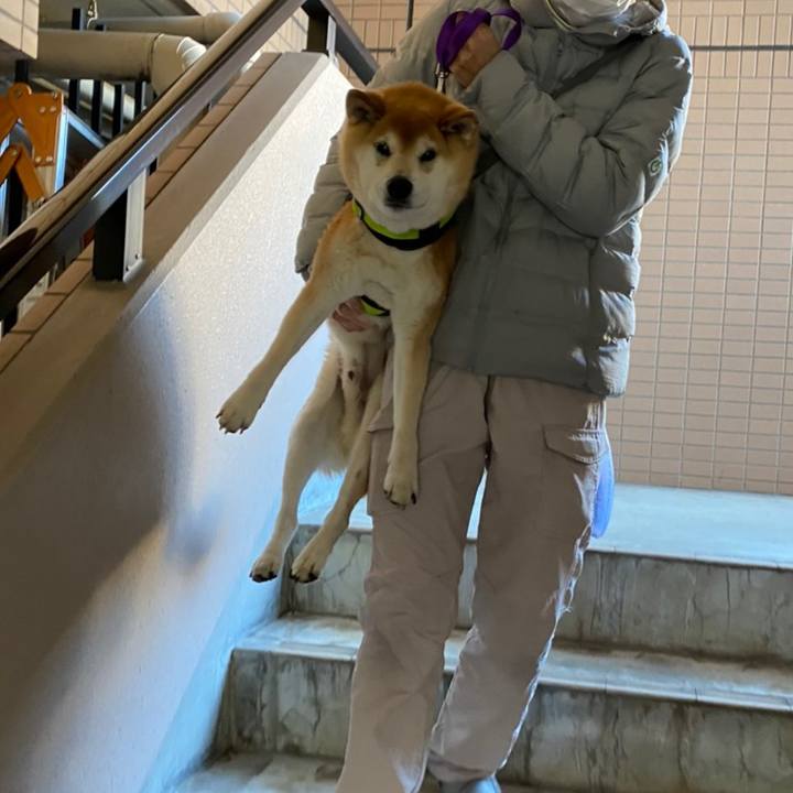 54855b9d cf60 4351 a105 c922b0ea7a80 1609983737342