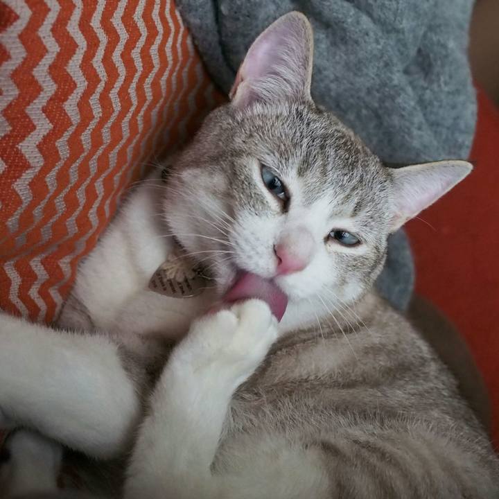 54855c2f 4767 4d09 8df1 e1f727fc88c7 1529069092971