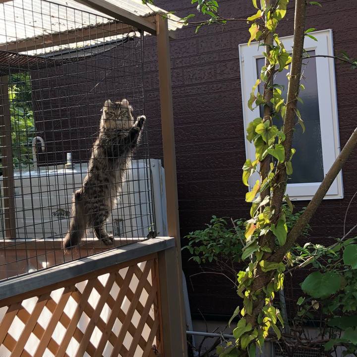 54855cdf 83f9 4476 9940 e20eabae90e9 1533252968115