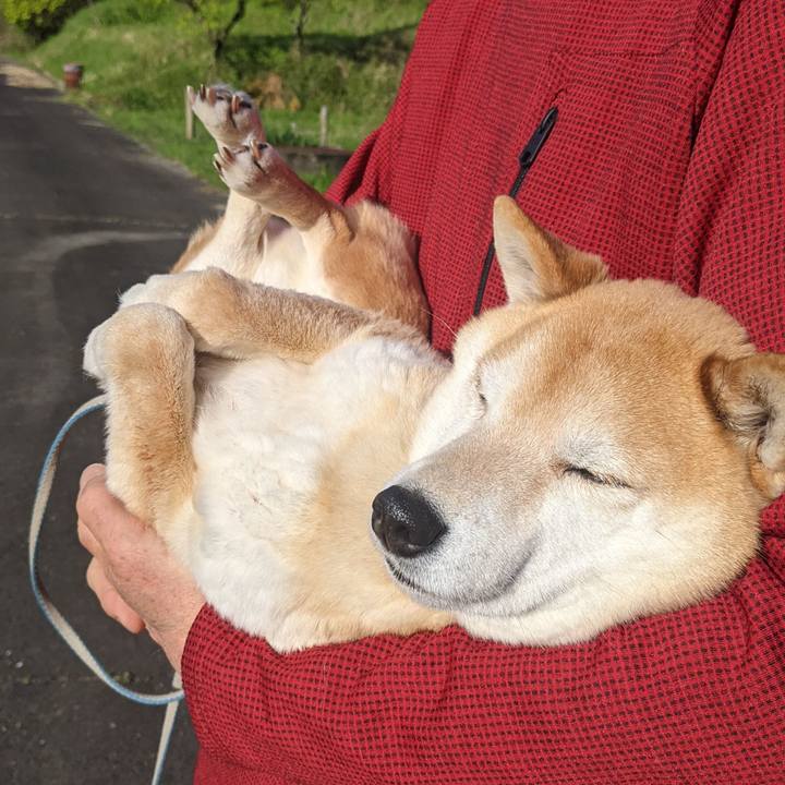 5485920e f945 434e bd55 4de0694b4dba 1681709092527