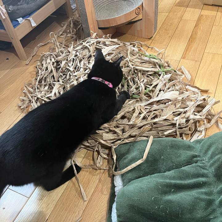 5485c059 101a 4b6e b05e 19bc4ef813cd 1681736249293