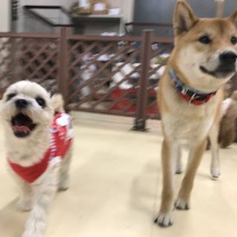 5485d410 d155 4e6a a12b aeecb77944be 1516185102079