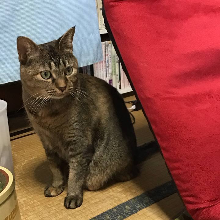 5485e7af 8735 4a39 af3b 2b6baab45d6e 1728630846785