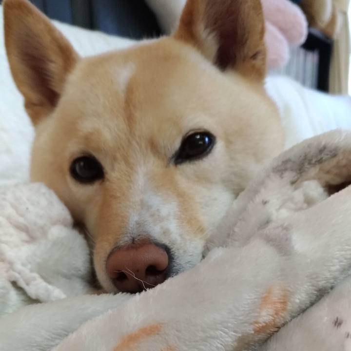 5485ef64 cb40 4065 a3c0 7b4710208642 1612309353397