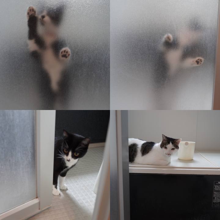 548609ea de9d 4dd0 9157 0f52300ae99c 1594996390276