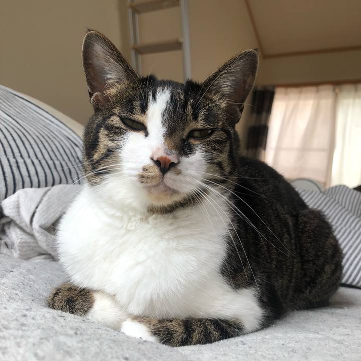 548635a8 6872 4cab 880f 91273b2268d2 1651868328454