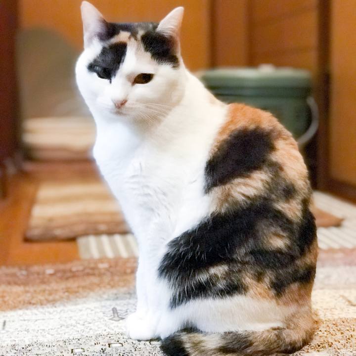 5486665d 0aa6 40db 96e6 243dcccbe3a1 1520221149923