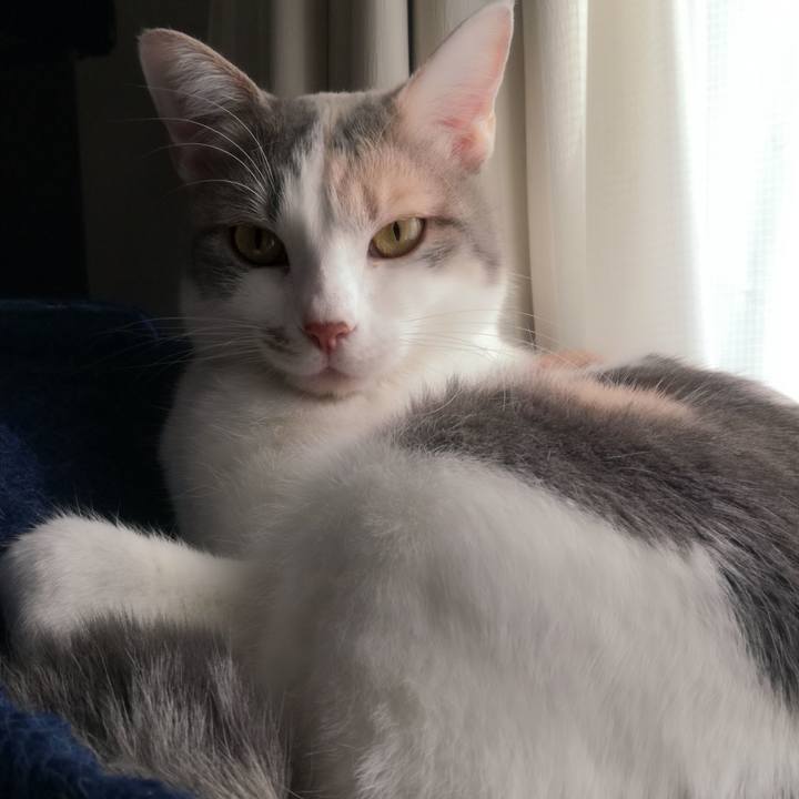 548673ad e5bc 4caf 94ea 8adc9cbbf8cf 1519974183094