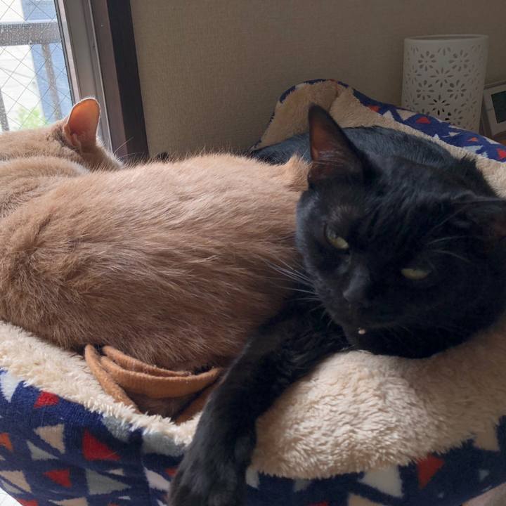 548689dd d13b 40d5 b7ee 1bc66f82c2d0 1629594753339