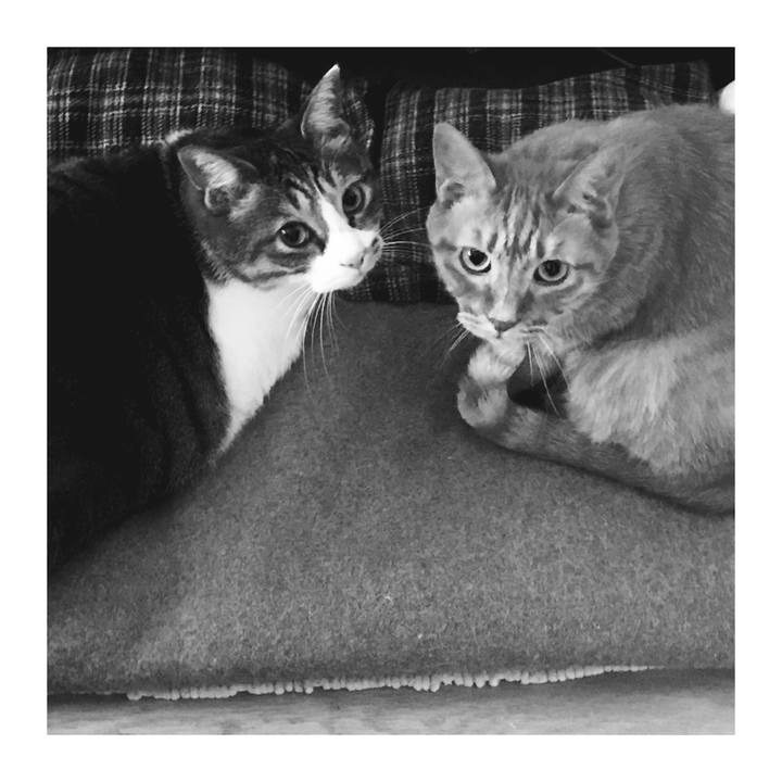 5486b18e 0962 4a26 afbb 731e261d82fa 1649042819475