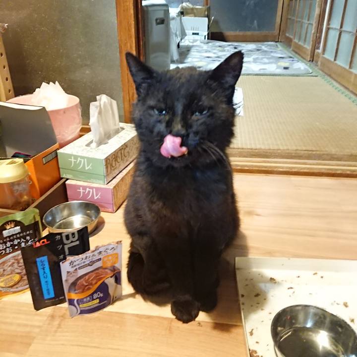 5486be20 519e 40a8 ab37 0ccf98b0579b 1622549112608