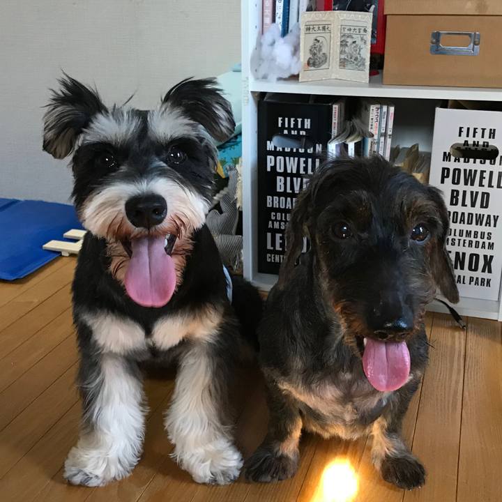 5486c321 7518 4bb0 8bb1 09e30a563fdd 1565452376706