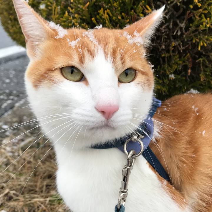 5486cc25 f754 4eeb 954a 4630afb745bb 1512784353515