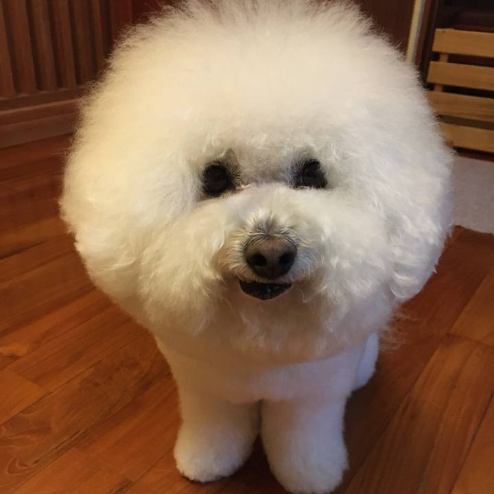 5486fd63 988d 4167 88b5 0f94e1416922 1616542043684