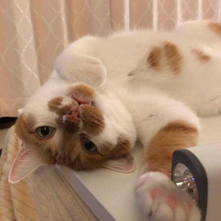 5487279e 6ac0 4f5a 880d 468083d9b7a7 1571143122962