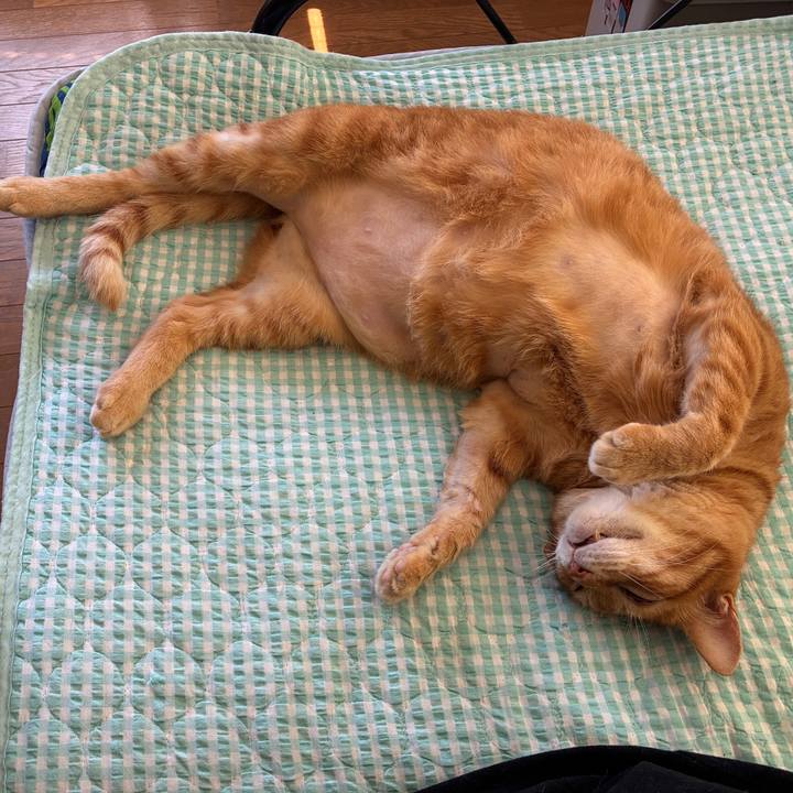 548736a4 8927 4f09 bf3c 66f7c1e3617d 1754091771421