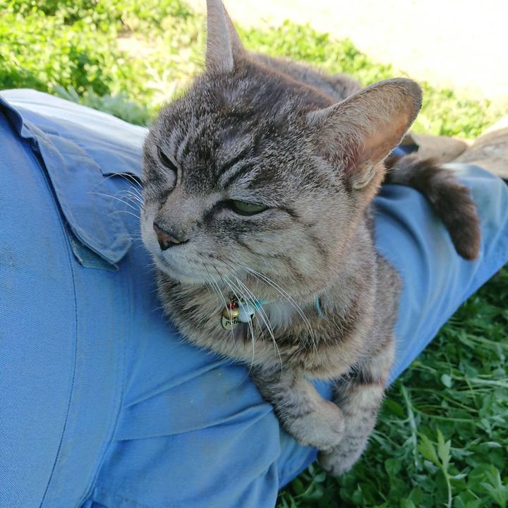 54873fa9 c2c7 4d57 a89c 7481c21824a2 1556949427574