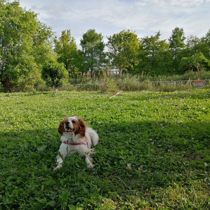 548795cb 940d 4113 8bb9 75f05420b7b7 1620905327794