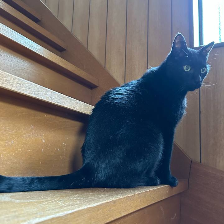 5487ecee 9c24 4939 93a2 ce4d081df2fe 1665712447811