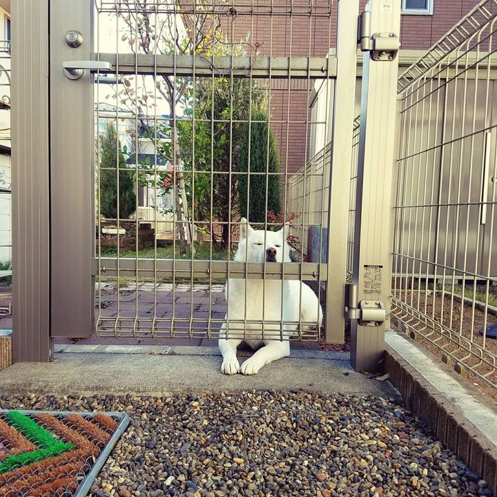 54880d0e b464 42d1 8342 3ee265682e1c 1510499226380