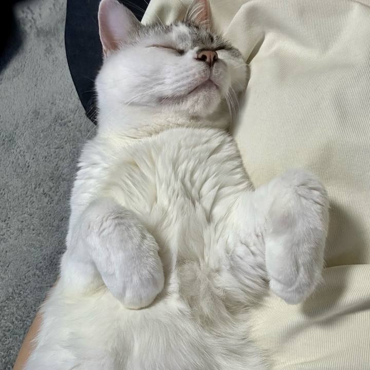 5488114a 1aae 45f4 bb4b 91897bab322e 1723379110074