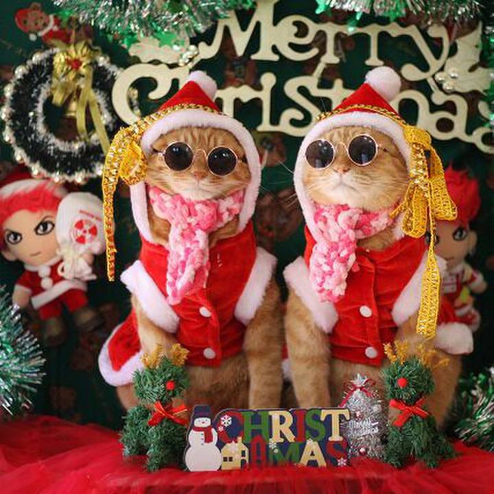 54881838 c577 4f90 878e 714e1590c854 1545543708011