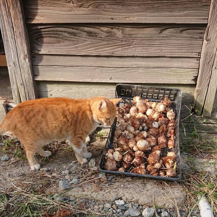 5488213b 8fb5 422b a61f 0132a2552693 1601791478610