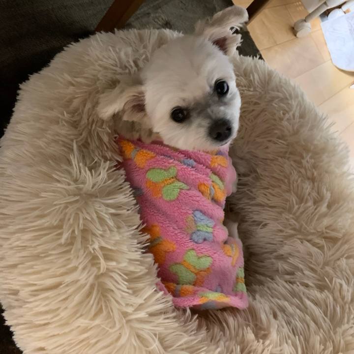 5488389d 77d5 4b25 8965 8a7d710770db 1644489194586