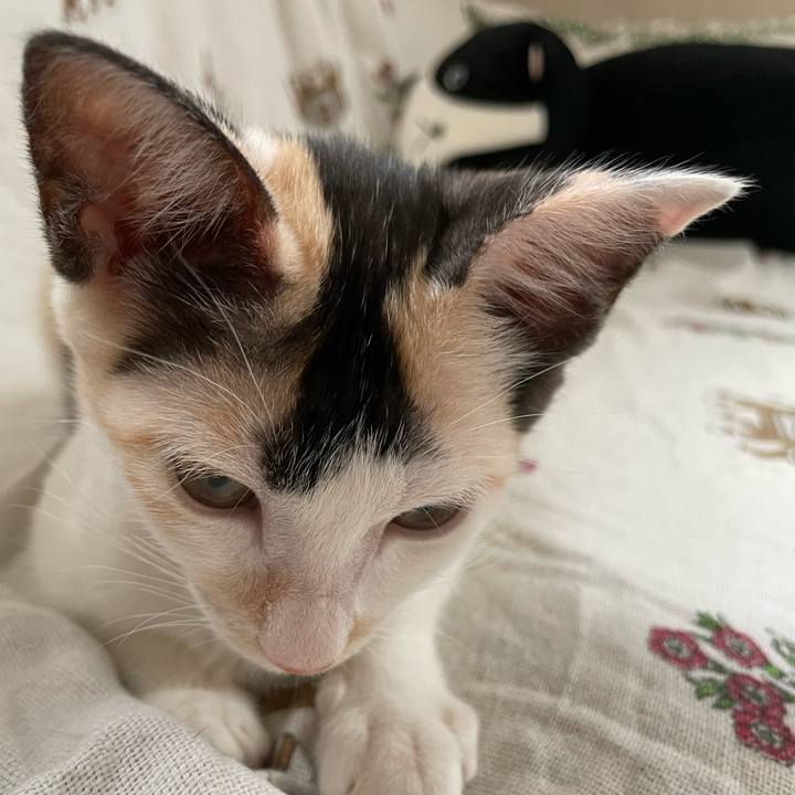 54885b8d 5582 438a a72f 894aa9e10393 1660258083198