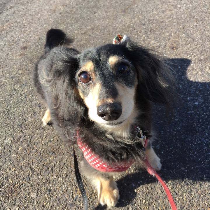 54888d70 1378 43ae b5b2 a1bd6a0233ff 1574295887647