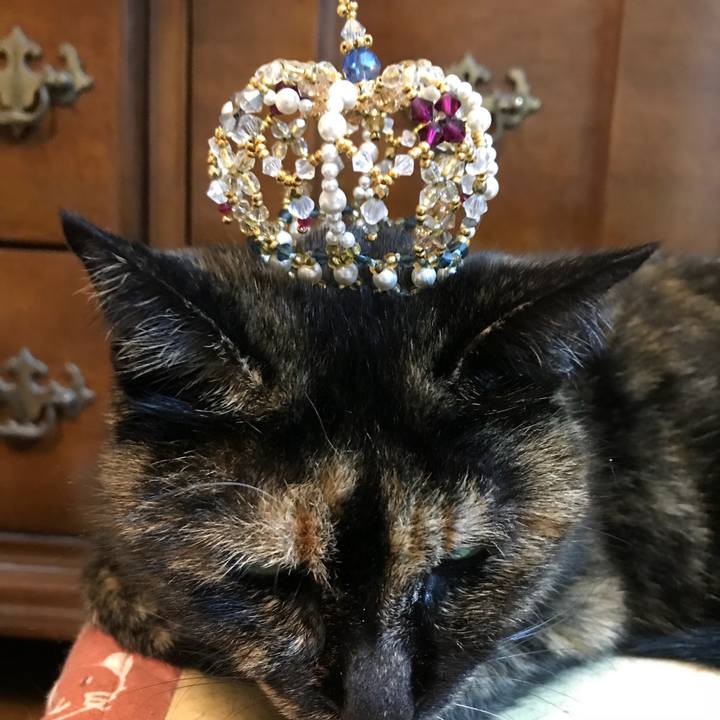 54889ff3 b40c 443b b540 b7640b7560db 1518613605976