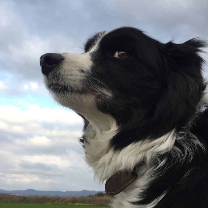 5488a76d 8b5c 44f4 b13c f2678de005f7 1552688626449