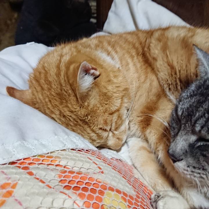 5488c6d3 25b3 41ec ab47 9c7f985d1ffa 1580735298260