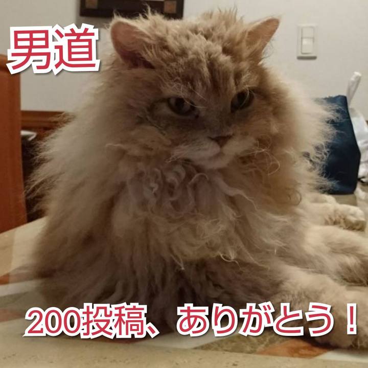 5488db02 e174 4128 a646 6e7ec2e836f3 1555275193238