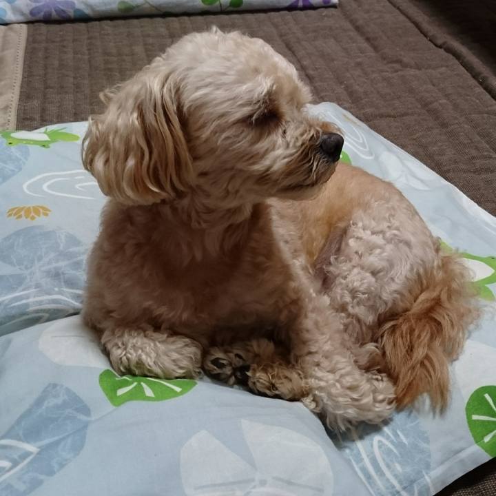 5488ff2a a94d 4dc8 8ece 29a14f718de8 1564734222741